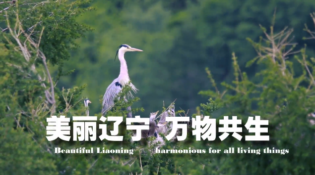 微信截圖_20211025090556.png